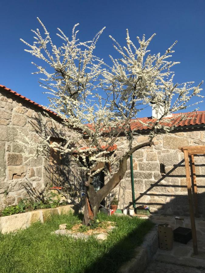 Villa Quinta Do Pinheiro Guimarães Exterior foto